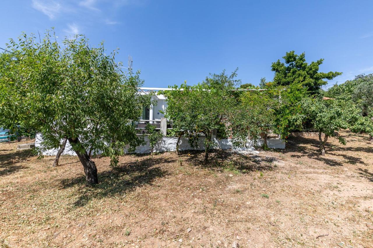Skopelos Amigdalia Cottage Luaran gambar